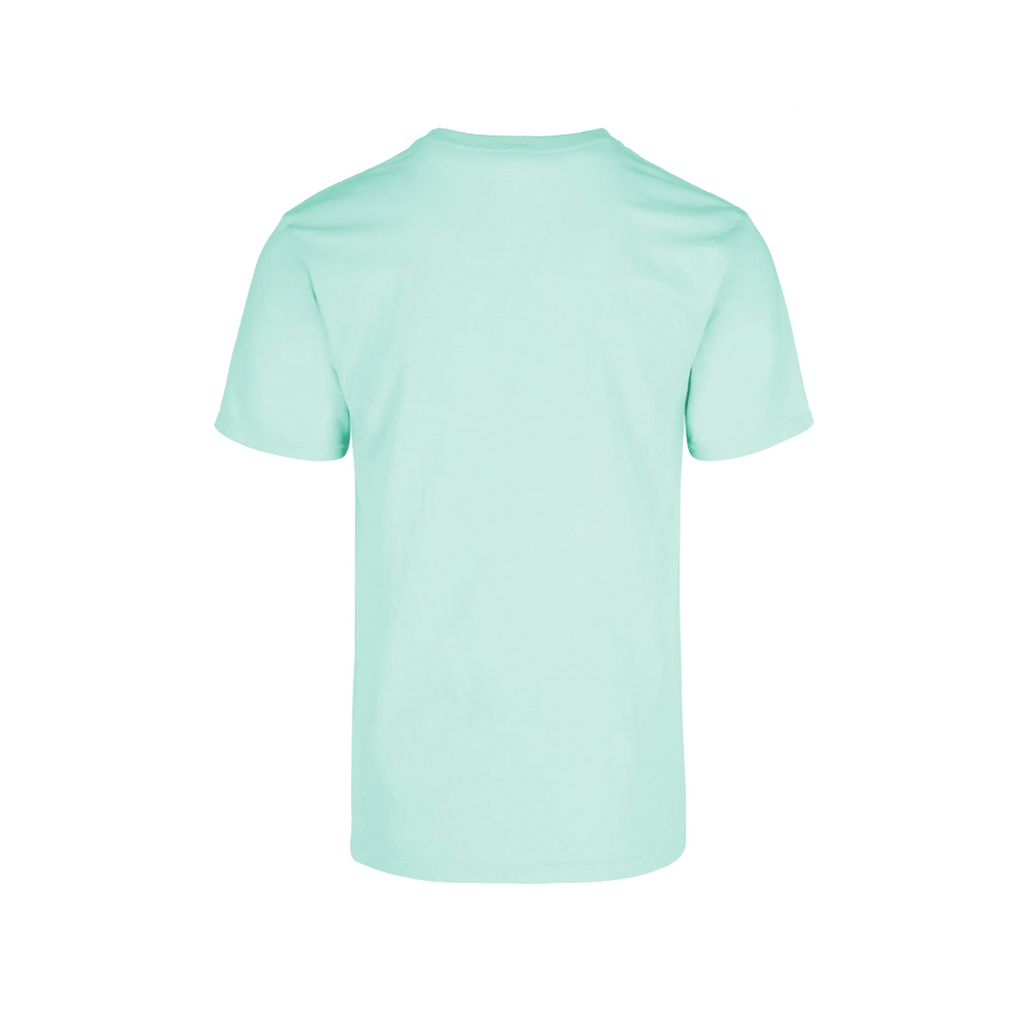 PLAYERA 100% ALGODÓN CABALLERO