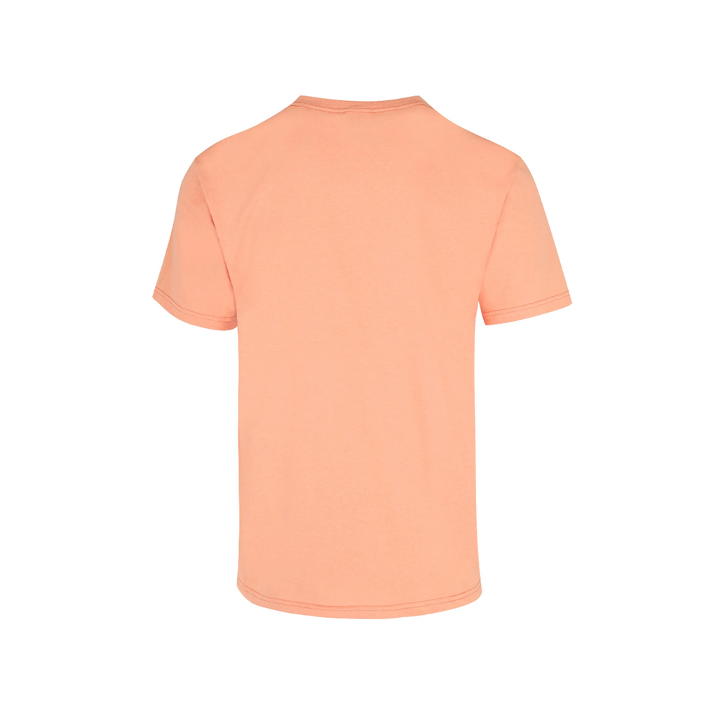 PLAYERA 100% ALGODÓN CABALLERO