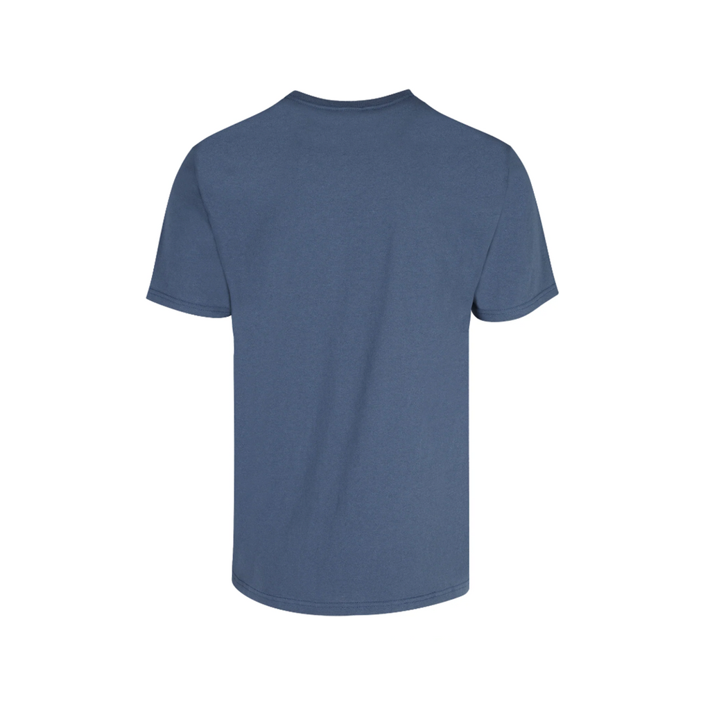 PLAYERA 100% ALGODÓN CABALLERO