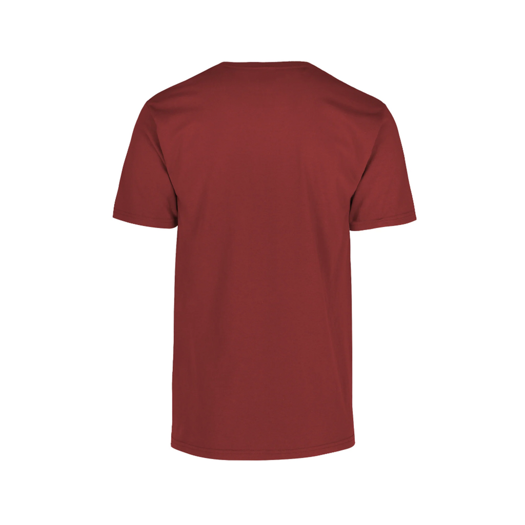 PLAYERA 100% ALGODÓN CABALLERO