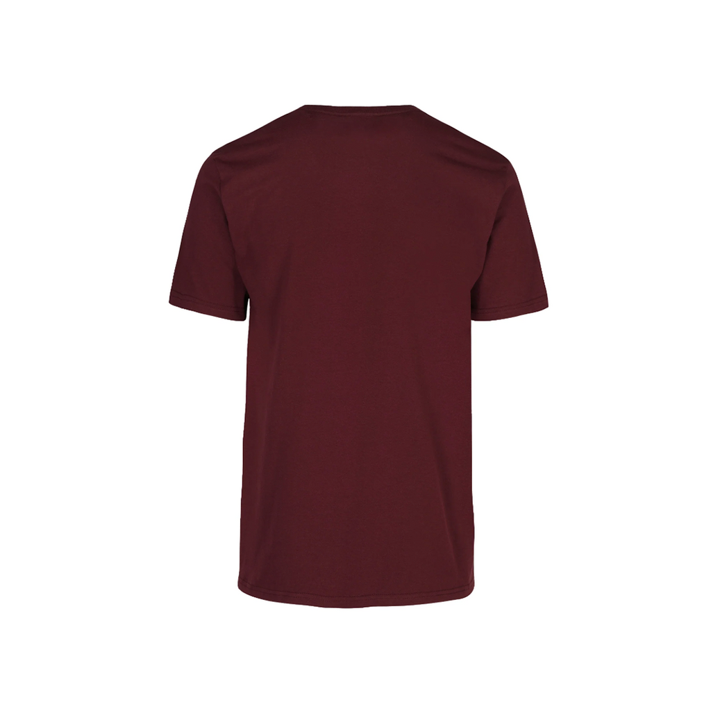 PLAYERA 100% ALGODÓN CABALLERO