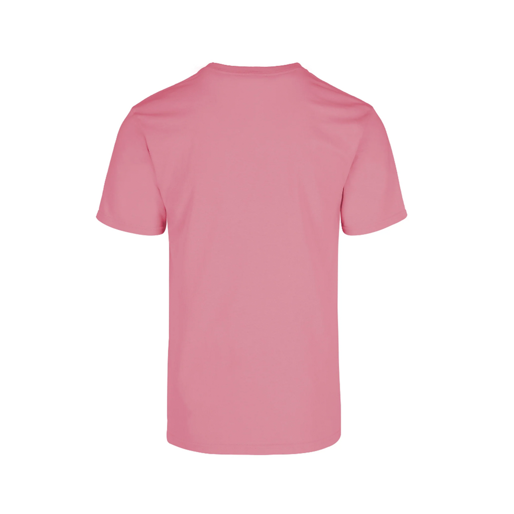 PLAYERA 100% ALGODÓN CABALLERO